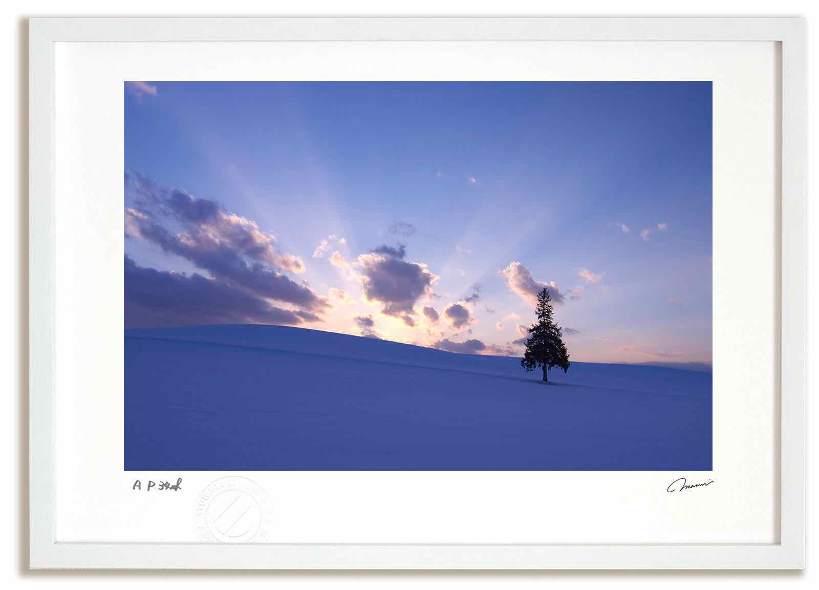 アートフォト 絵画 クリスマスツリーの木の夕日4 高橋真澄/インテリア 額入り 額装込 風景画 油絵 ポスター アート アートパネル リビング 玄関 プレゼント モダン アートフレーム 飾る おしゃれ 壁掛け 絵|絵画・壁飾り 風景専門店あゆわら