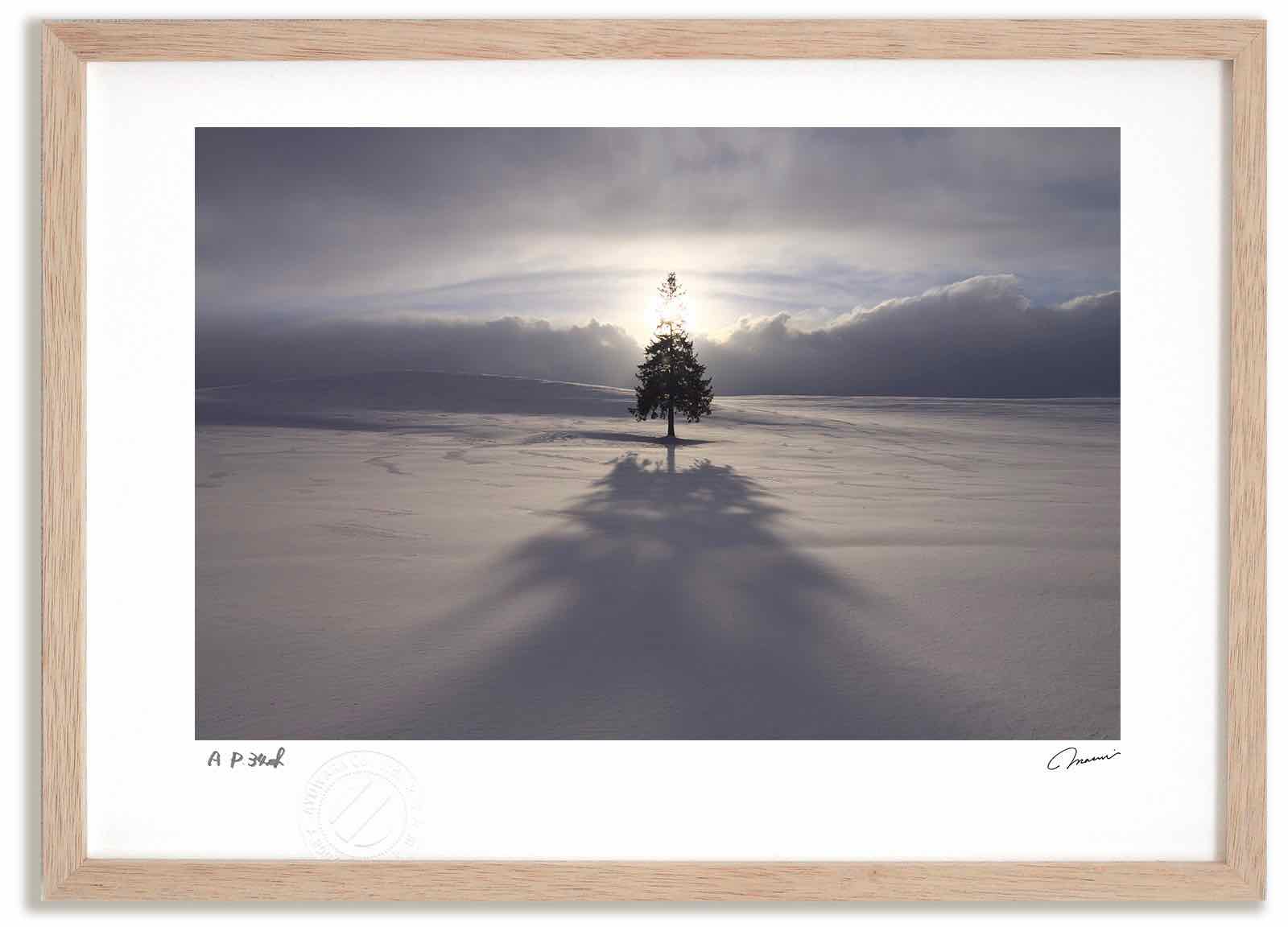 アートフォト 絵画 クリスマスツリーの木の夕日5 高橋真澄/インテリア 額入り 額装込 風景画 油絵 ポスター アート アートパネル リビング 玄関 プレゼント モダン アートフレーム 飾る おしゃれ 壁掛け 絵