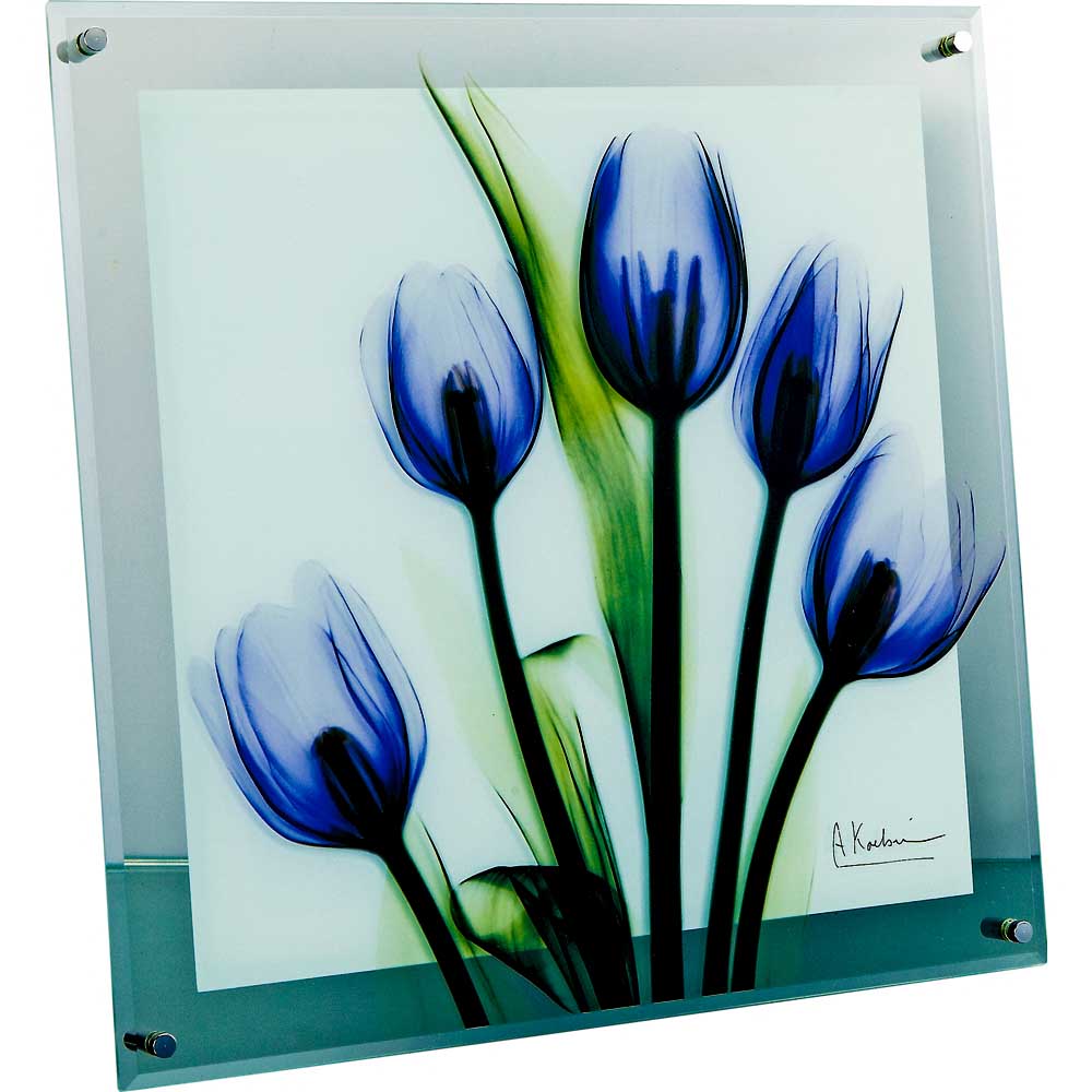 楽天市場】レントゲンアート X RAY ガラス アート「ティール ローズ（M