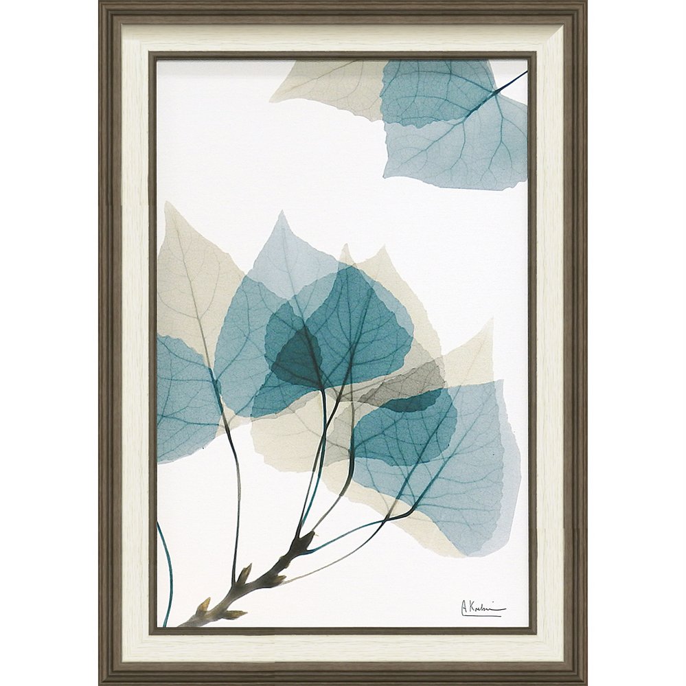 XーREY キャンパスアート　サルビア XーREY キャンパスアート サルビア