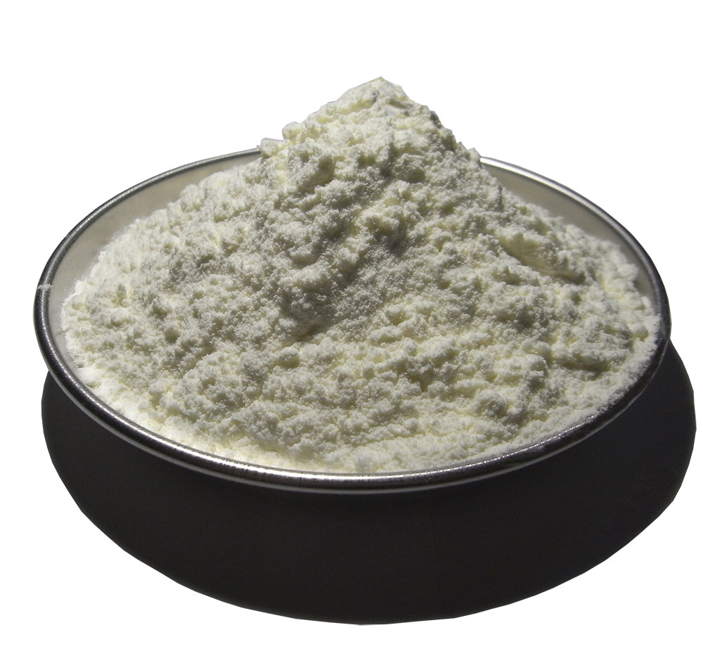 オランダ産ヤギミルクパウダー 500g 【メール便送料無料】｜ハッピーピジョンＡＺ店