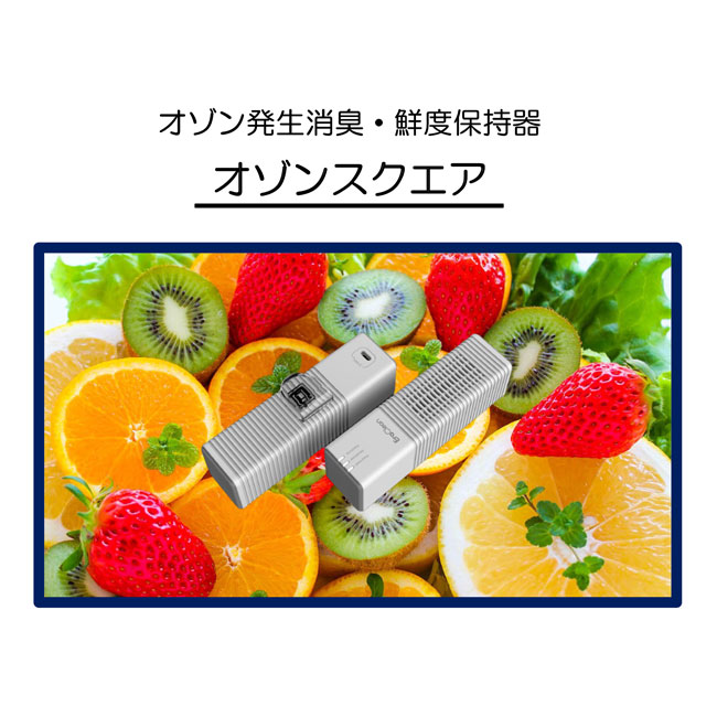 楽天市場】低音プラズマ発生体オゾン発生器 e-AIR イーエアー EA-810