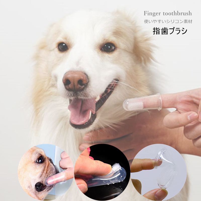 楽天市場】ペット用 指歯ブラシ シリコン製 5個セット ソフトブラシ 口腔ケア 犬用歯ブラシ 犬 いぬ 猫 ねこ 犬口ケア ソフトブラシ やわらかい 歯磨き  ペット用歯ブラシ 指サックタイプ シリコン 小型犬 中型犬 大型犬送料無料 : Dogmylove