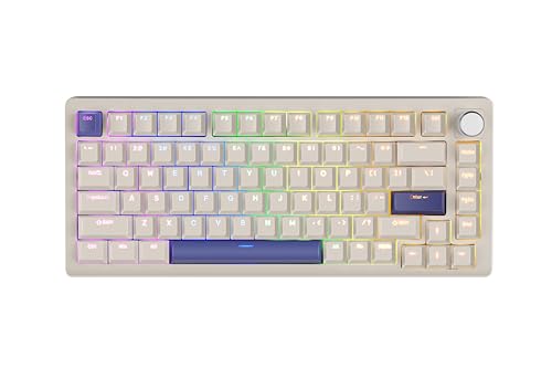 DrunkDeer A75 ラピッド銃の引き金 機械的鍵盤 82足懸かり 磁気取り替えっこ RGB 取り組み用 ノッブ付き添い人 生きすだま押しとどめる パウダーコンパクト こぼれにくい 薄墨色