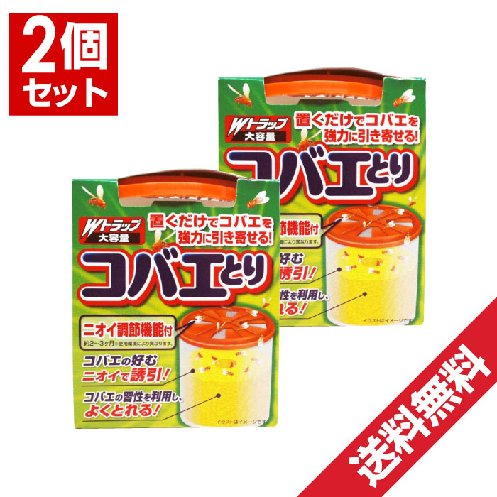 楽天市場】ハエ取り 退治 駆除 プロバスター リボン ハエとりリボン 5本入×50個セット 合計250本 SHIMADA 送料無料 : AZON