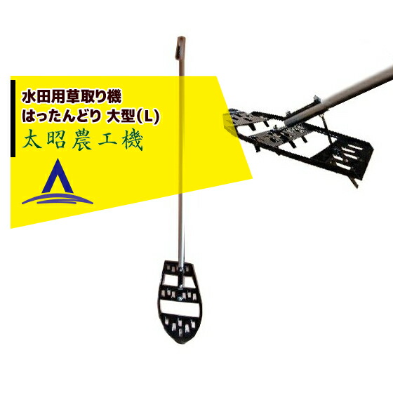 お値下げ＊琉球 沖縄切手 1951年 植林 田型 未使用  NH美品 お値下げ＊琉球 沖縄切手 1951年 植林 田型 未使用 NH美品