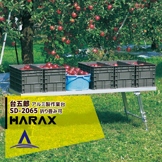 楽天市場】【全商品ポイント5倍】アプリページ上部バナーより 