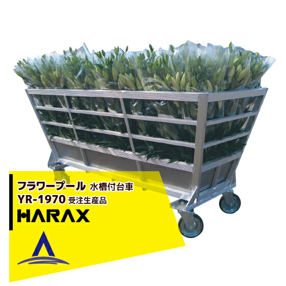 【百貨店SALE分量制限事項通貨価値！】ハラックス｜＜即納＞HARAX 御花スウィミングプール YR-1970 軽銀製 ステンレス鋼海洋博物館付き添い人手押し車
