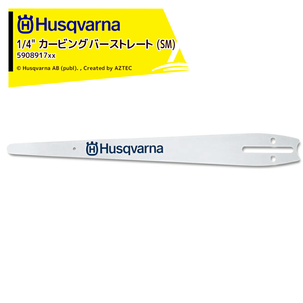 訳ありセール Husqvarna ハスクバーナ ガイドバー カービングストレート 25cm 10インチ ピッチ 1 4 590891760  fucoa.cl