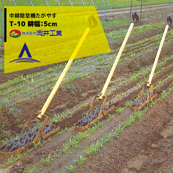 楽天市場】!!エントリーで最大100%ポイントバック!! タイガー