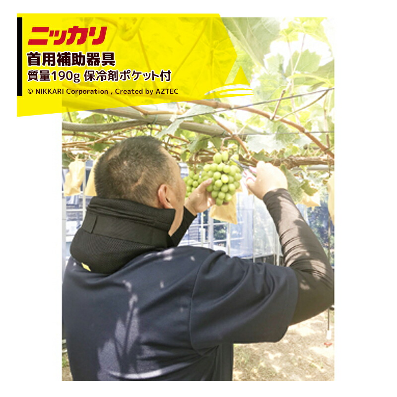 ニッカリ｜＜2個セット品＞首用補助器具 果樹栽培農家や産業用点検ラック業者など上向き作業に！ 保冷剤ポケット付き｜AZTEC 店