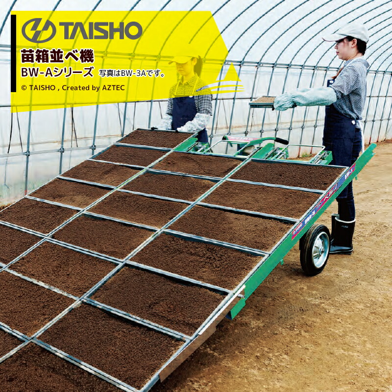 楽天市場】!!エントリーで最大100%ポイントバック!! タイショー 苗箱