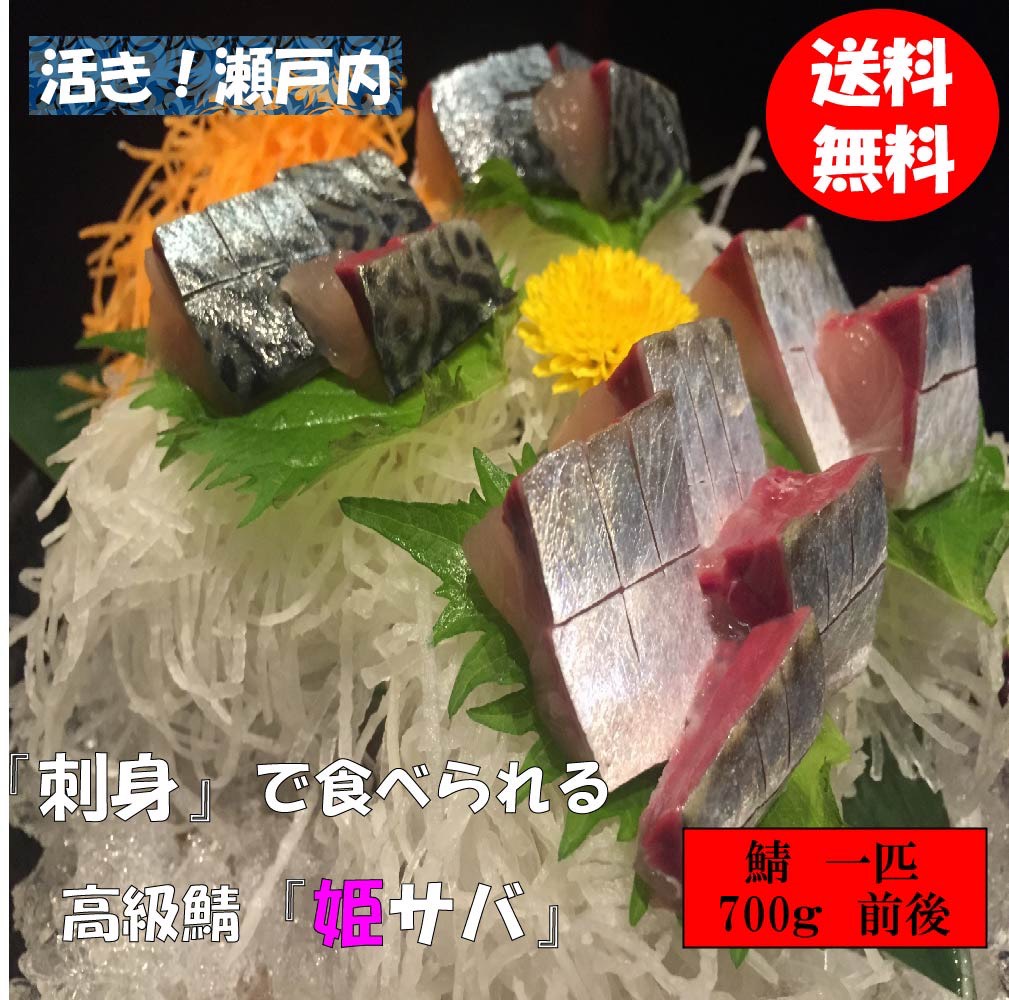 楽天市場 姫サバ １尾 700g前後 ２尾分 半身フィレ 4枚 姫サバ 刺身 切り身 生食可 鯖 刺身 鯖 刺し身 鯖 切り身 鯖 切身 サバ 刺身 サバ 刺し身 サバ 切り身 サバ 切身 サバ フィレ 鯖 産地直送 Azucena