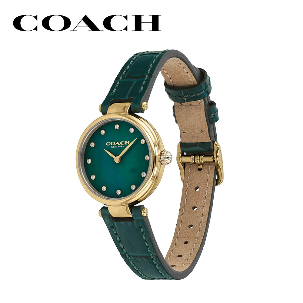 COACH コーチ レディース 腕時計 PARK 14503534 女性 シンプル 薄型 軽量 上品 高級 可愛い かわいい 綺麗 きれい 彼女 恋人 嫁 奥さん 娘 おすすめ おしゃれ ブランド プレゼント クリスマス ギフト｜ブランド探検隊