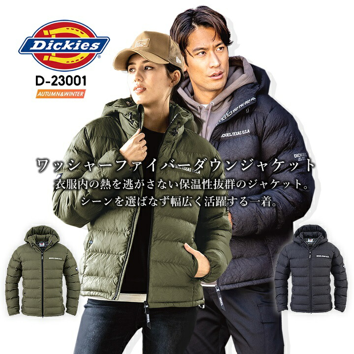 d23001-n.jpg