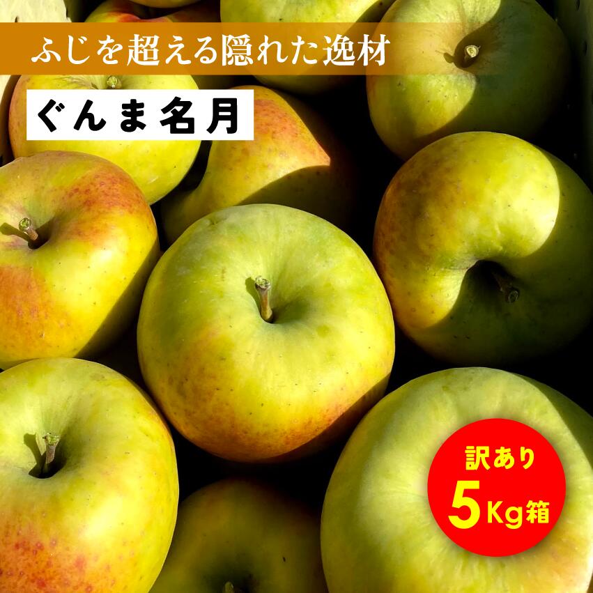楽天市場】「ぐんま名月3キロ箱A品B品」 農林水産大臣賞 りんご