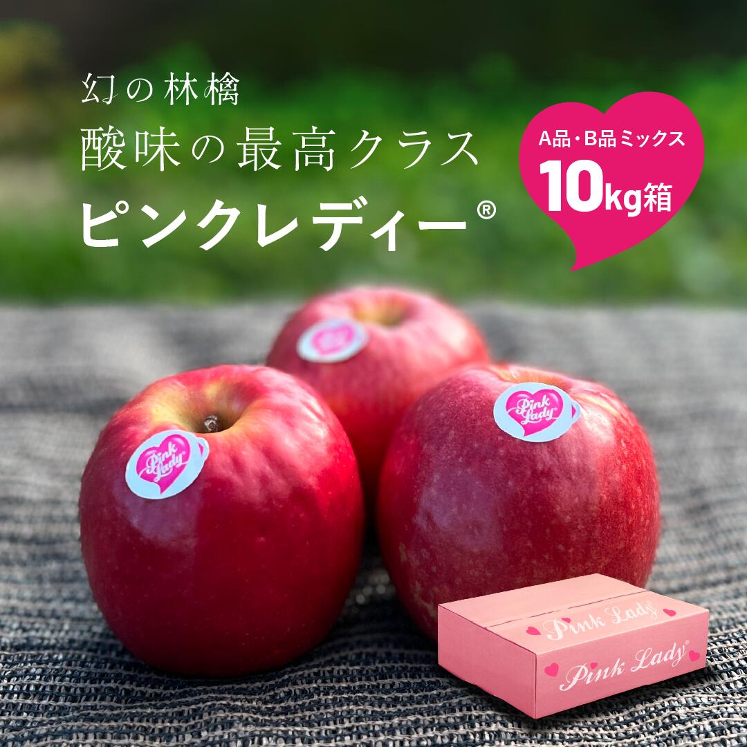 【4月9日まで15%オフクーポン配布中】「ピンクレディ10キロ箱A品B品」小玉32玉～66玉 酸味好き歓喜！幻の林檎 長野県産 安曇野 りんご リンゴ 林檎 Apple 産地直送 贈答 家庭用 リンゴ農家 果物 酸っぱい ピンクレディ ピンクレディー PinkLady pinklady