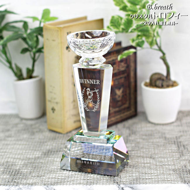 優勝杯 トロフィー trophy ウイナーズカップ 優勝カップ 大会記念 ゴルフコンペ スポーツ大会 記念品 オリジナルトロフィー とろふぃー 送料無料【名入れ ロゴマークOK】ポイントアップ祭