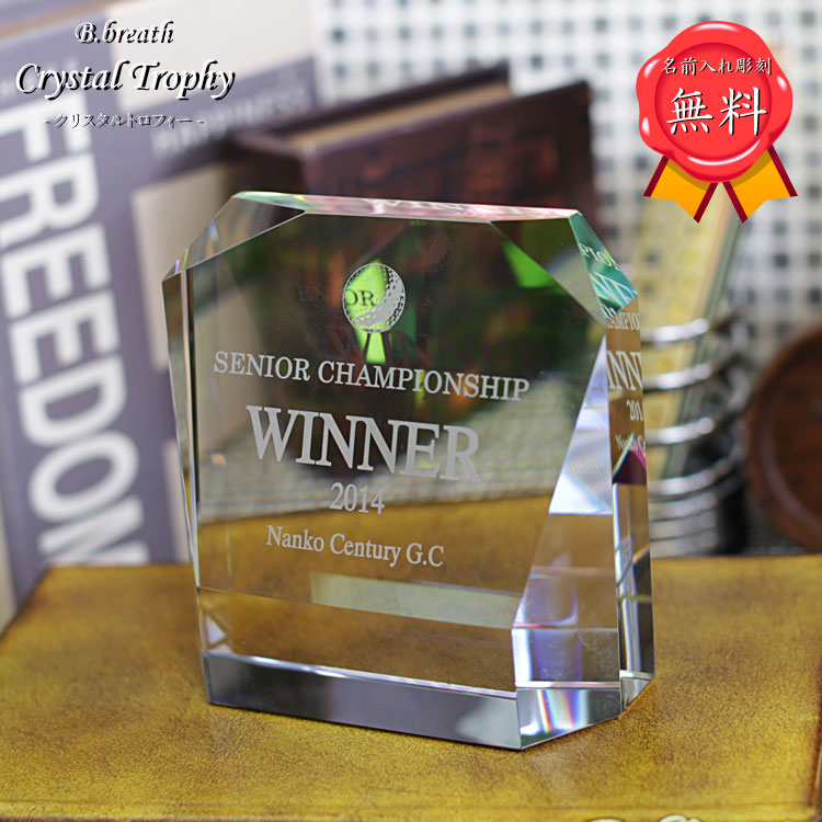トロフィー 記念品 表彰 発表会 ゴルフコンペ スポーツ大会 オリジナルトロフィー trophy とろふぃー 送料無料 彫刻無料【ロゴマークOK】ポイントアップ祭|名入れ記念品プレゼントのビブレス