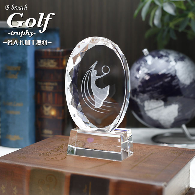 エージシュート ゴルフ 優勝 カップ 盾 トロフィー golf ゴルフトロフィー ホールインワン 記念品 ゴルフコンペ オリジナルトロフィ  trophy とろふぃー エイジシュート age shoot父の日 ポイントアップ祭 セール特別価格