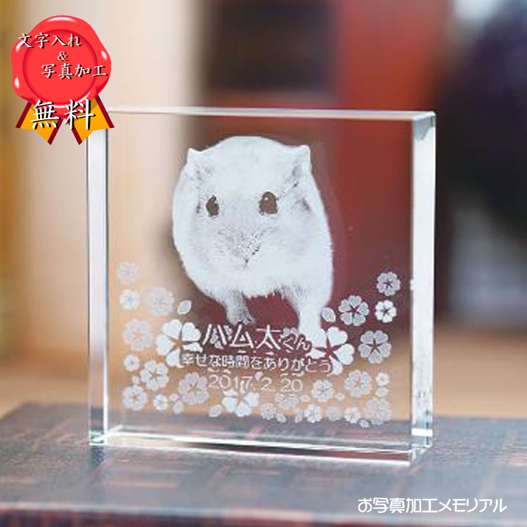 安い ペット位牌 手元供養 可愛い位牌 犬 猫 ペット 写真加工 オリジナル オーダーメイド ポイントアップ祭 人気ブランド Vigos Com Tr