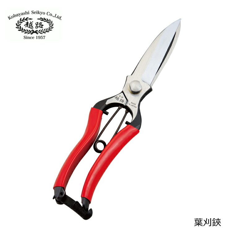 激安大特価 越路 打物 葉刈鋏 金止式 B 5 日本製 燕三条 採果鋏 収穫 ばさみ 芽切 採果 摘果ばさみ 剪定ばさみ ガーデニング 剪定 鋏 はさみ 手入れ 摘粒 果実 果樹 摘果作業 野菜 家庭菜園 園芸 菜園鋏 Diy 採集 農業 林業