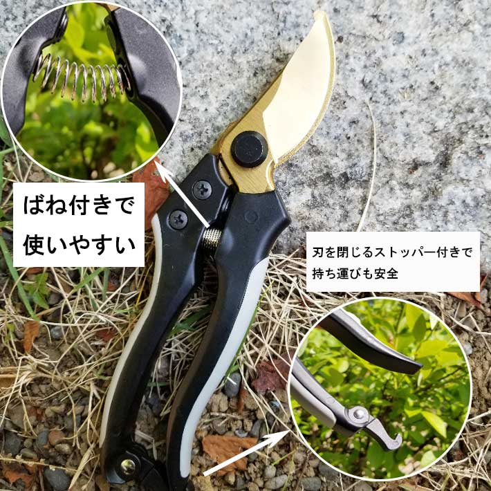 楽天市場 チタンコーティング剪定ばさみ 17 グッズ 剪定ばさみ 枝きり 生花用 ガーデニング 花鋏 剪定 ガーデン用品 雑貨 園芸用品 花ハサミ 園芸ハサミ 剪定用 ガーデン雑貨 盆栽 はさみ ハサミ 鋏 剪定鋏 花ばさみ 花きりバサミ 花 剪定バサミ 道具 剪定はさみ