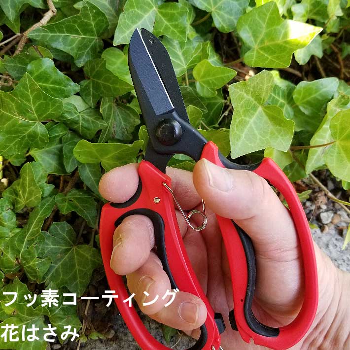 楽天市場 フッ素コーティング花はさみ 22 剪定ばさみ ガーデニング 剪定はさみ 剪定ハサミ 花ハサミ 剪定バサミ 枝きり 盆栽 生花用 花鋏 園芸用品 園芸用具 剪定用 ガーデン雑貨 ガーデニング雑貨 雑貨 園芸ハサミ 剪定 ガーデン用品 園芸資材 グッズ 庭 ｂ ｂ