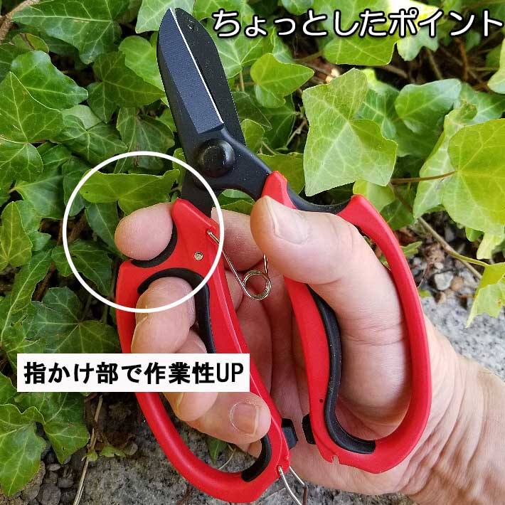 2021新商品 TAKAGI WOODYTASTEステンレスレディース剪定鋏