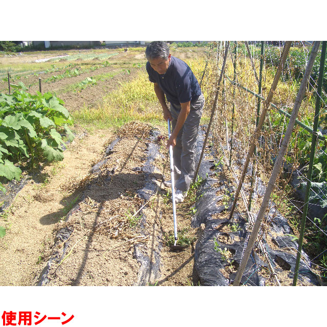 No080 伸縮式ミニ三角ホー アルミパイプ柄 草刈鎌 草刈り 除草 雑草 雑草取り Diy 園芸用品 ガーデン 庭 手入れ ガーデニング グッズ 雑貨 日曜大工 Giosenglish Com