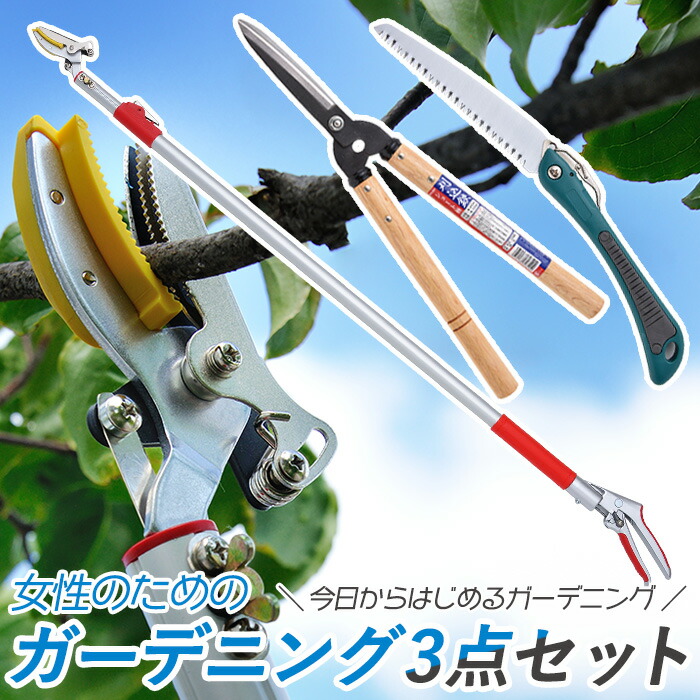 ご予約品 の軽量の高枝切りばさみと様々なガーデニング鋏のセットです 届いたその日からお庭のお手入れができます レディース園芸3点セット 3段階伸縮式高枝切鋏 ショート刈込 折込鋸 枝切りバサミ 刈込みばさみ 折り込み剪定のこぎり 高枝切りバサミ 超軽量 伸縮
