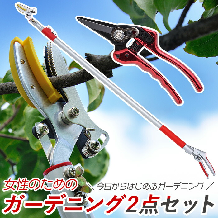 楽天市場】レディース園芸2点セット(3段階伸縮式高枝切鋏＆ショート