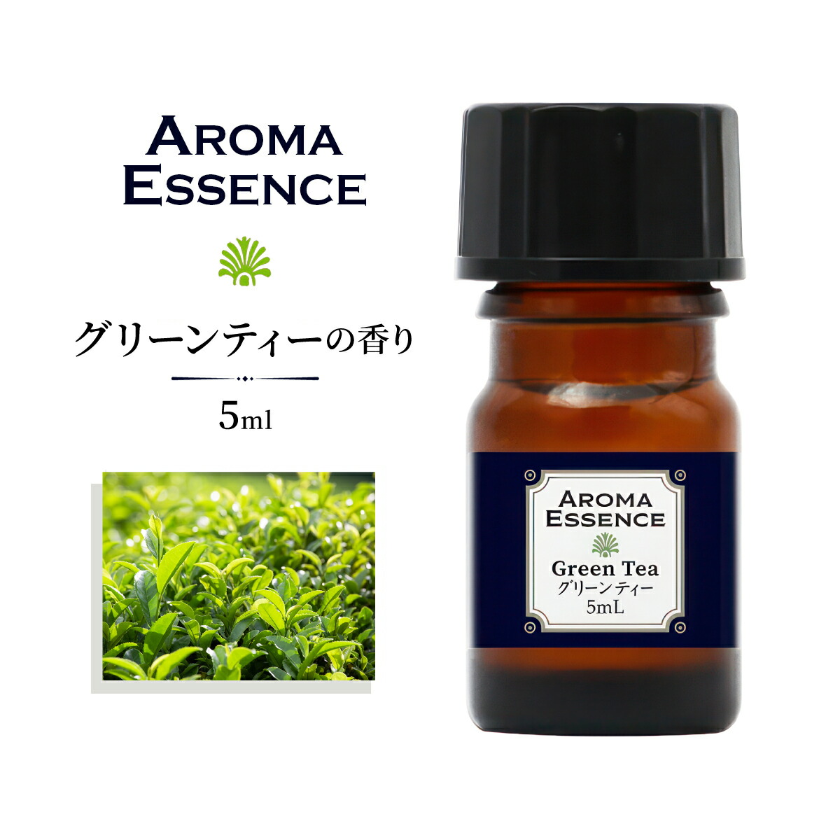 楽天市場】アロマオイル ホワイトティー 5ml 白茶 香り アロマ