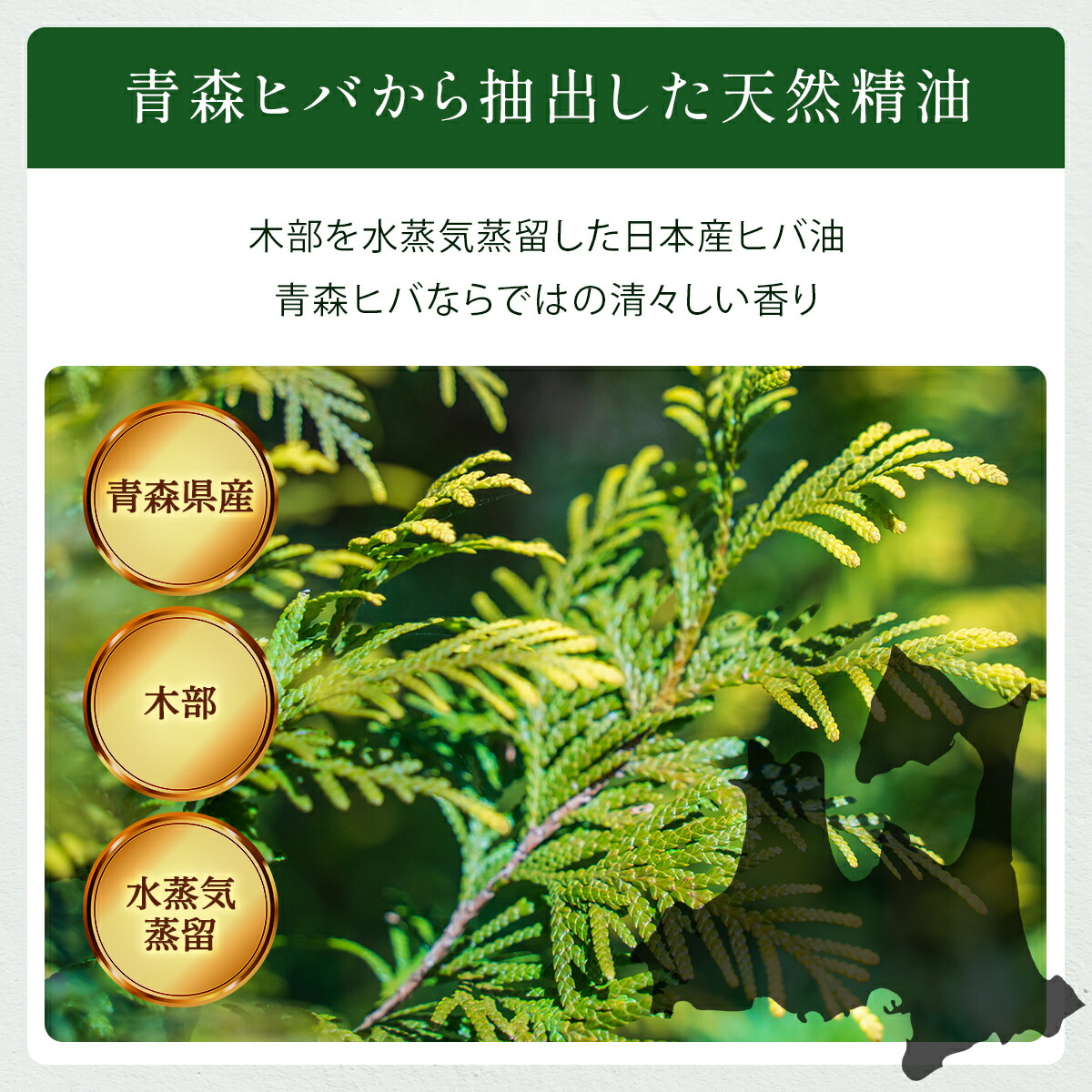 青森県産 ひば油 100ml ひば ヒバ 精油 アロマ 青森ひば 青森ヒバ 天然 ヒバ油 ヒバオイル 青森 お風呂 入浴 スプレー 消臭 ヒノキチオール エッセンシャルオイル 送料無料 アロマ加湿器 部屋 全体 自律神経 イライラ 解消 虫除け ダニ対策 梅雨 湿気 消臭