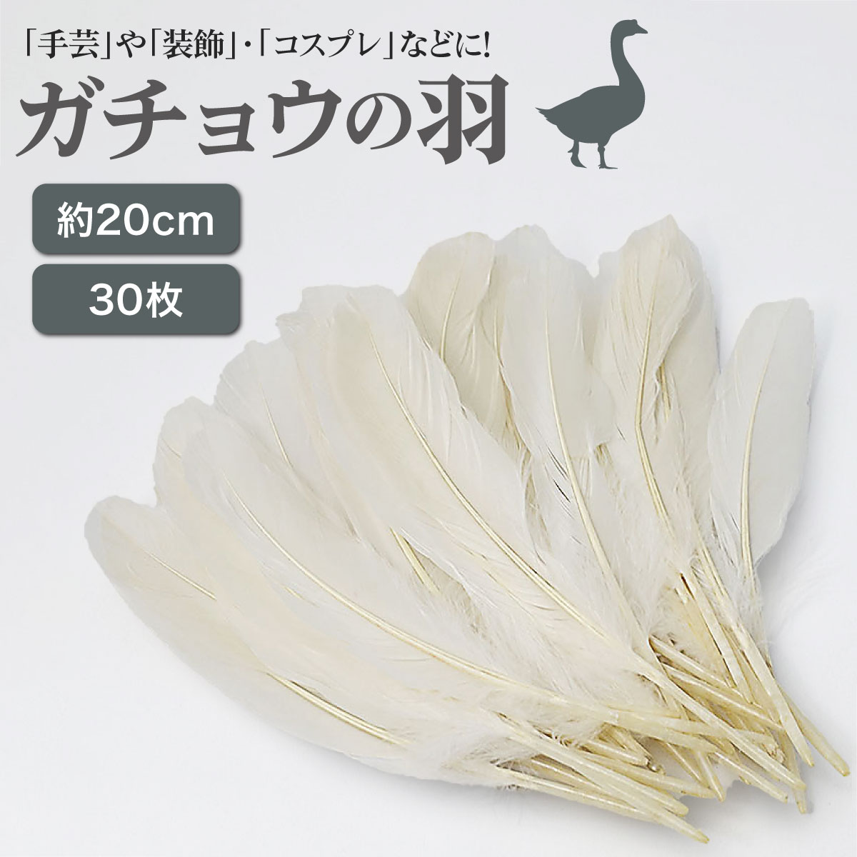 【楽天市場】ガチョウ 羽 白 20cm 30枚セット 手芸 羽根 飾り 装飾 羽根シャワー はね コスプレ フェザー ネックレス ハンドメイド ...