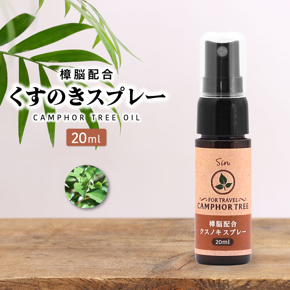 クスノキ ksspray-top.jpg