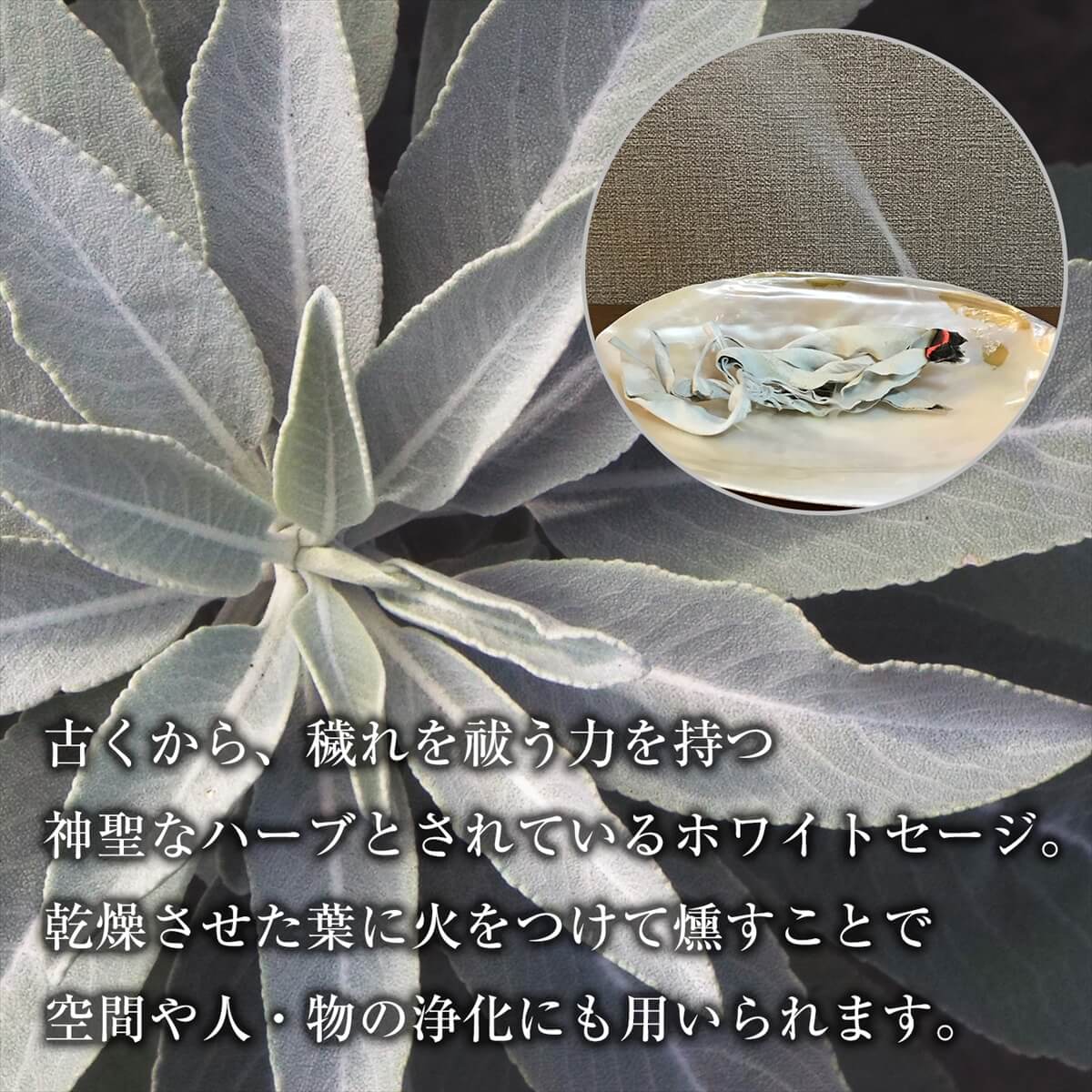 消費税無し せせりばさし様専用 無選別アウトレットホワイトセージクラスター 10kg お香 香炉 Www Access00 Co Jp