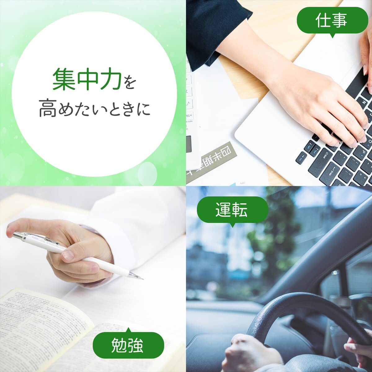 楽天市場 天然100 ユーカリ グロブルス オイル 10ml アロマオイル ユーカリプタス 精油 ダニ対策や虫よけ マスクにも 雑貨イズム