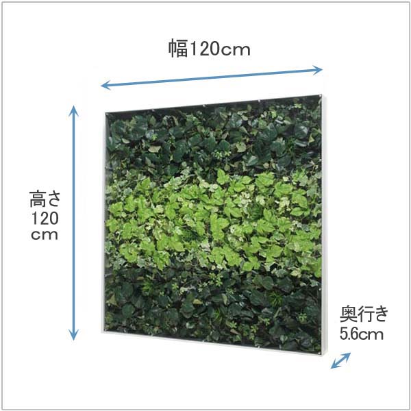 ウォールグリーン Gr3571 1cm角 壁掛け おしゃれ フェイク 壁 観葉植物 玄関飾り ボード モダン 壁飾り グリーン 玄関 インテリア フェイクグリーン ウォール グリーンパネル 壁面 装飾 パネル リーフ リーフパネル アートパネル インテリアアートパネル ウォールデコ