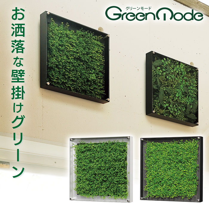 楽天市場】グリーンモード 正規品 観葉植物 インテリアデコ GR3562