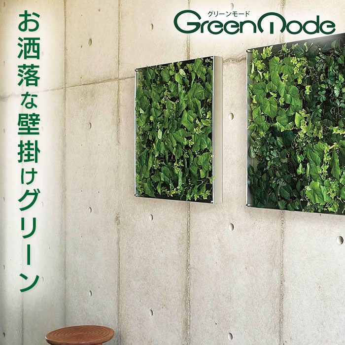 グリーンモード 正規品 観葉植物 インテリアデコ GR3567｜ 【送料無料】壁掛け おしゃれ インテリアグリーン 人気 フェイクグリーン ウォールグリーン インテリアグリーン アートグリーン 壁面緑化 造花 60X60cm