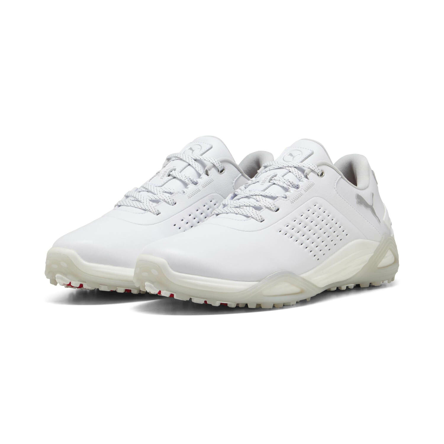 【取寄】 (PUMAGOLF) プーマゴルフ PMJ-311067-01 Shadowcat NITRO Leather (01)プーマホワイト/アッシュグレー メンズ・ユニセックス【ゴルフ・シューズ】