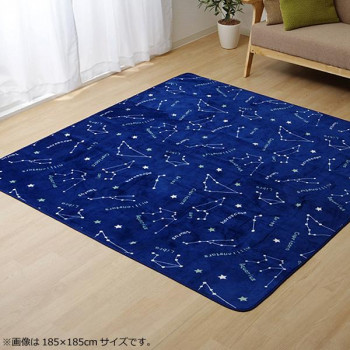 【暮らしラクラク応援セール】ラグ カーペット ホットカーペットカバー 『WSミリオン RUG』ネイビー約200×250cm 9809983【取り寄せ・返品不可商品】