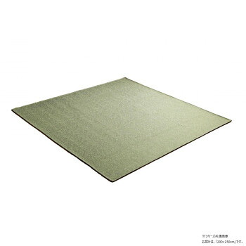 【暮らしラクラク応援セール】カーム ジャガードラグ 200×250cm グリーン 1293290126502【取り寄せ・返品不可商品】|美-健康ゴルフ