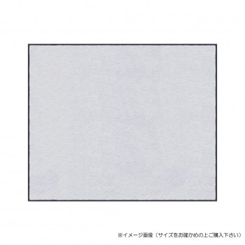 【暮らしラクラク応援セール】(クリーンテックス) スタンダードマットS ホワイト 75&times;90 cm【取り寄せ・返品不可商品】｜美-健康ゴルフ 7,911円