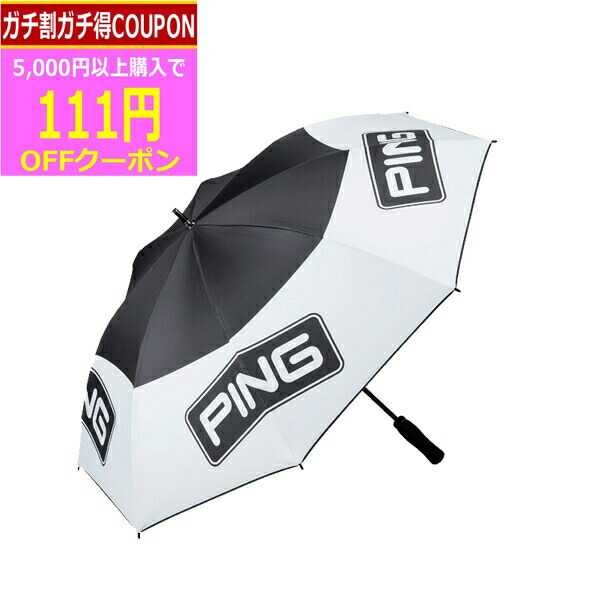 01s-ump2401-ping.jpg