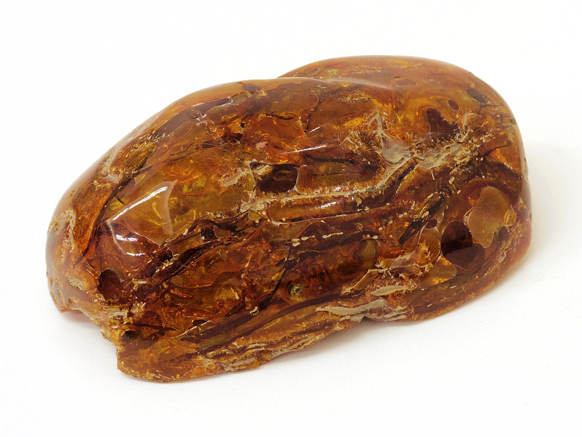 楽天市場】【一点物】【希少】約4000万年前の松柏類の樹脂が化石化した