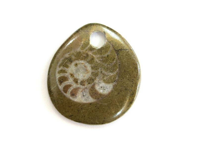 楽天市場】【ペア(2個1組)】アンモナイトの化石のペンダント