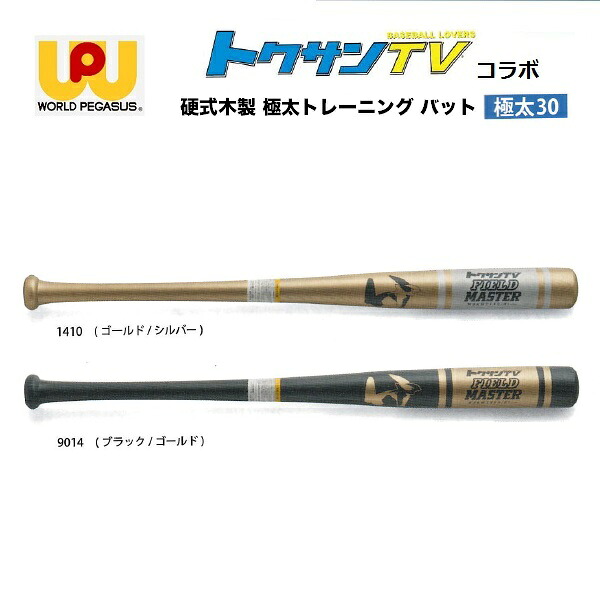ワールドペガサス 硬式木製 トレーニングバット 極太 FIELD MASTER WBKWTTV9