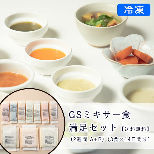 【冷凍】GSミキサー食 満足セット (2週間 A+B)(3食×14日間分)【送料無料】|ビースタイル店